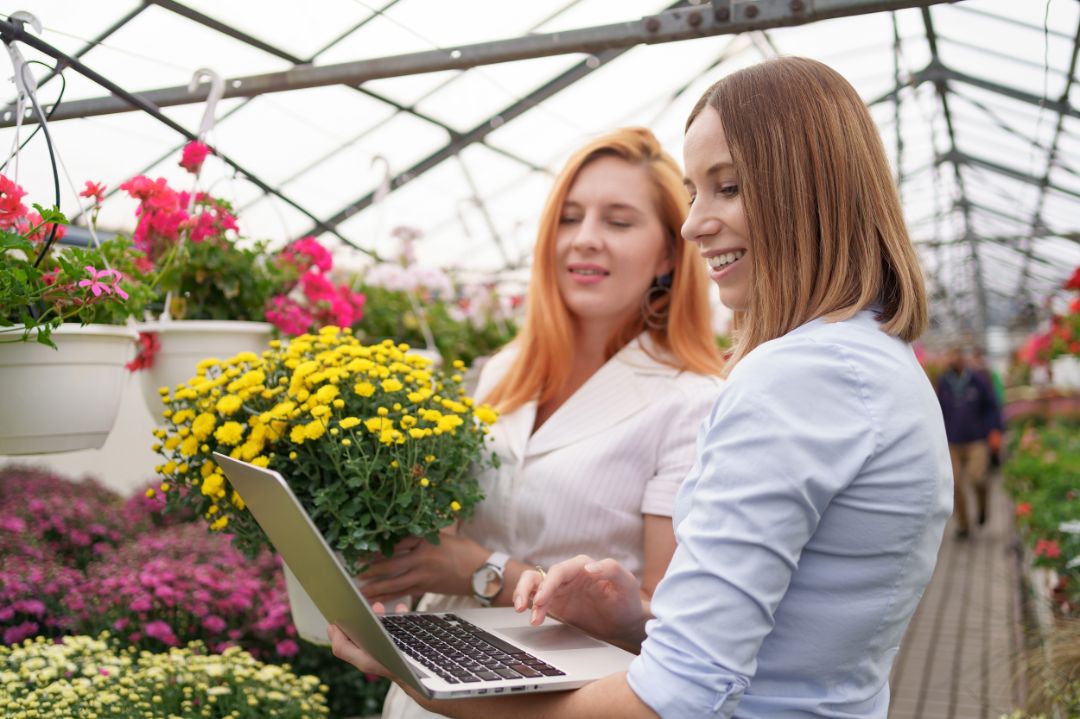 Greenhouse owner presenting flowers options to a potential customer retailer using laptop. They have a business discussion, planning future collaboration while noting and negotiating conditions