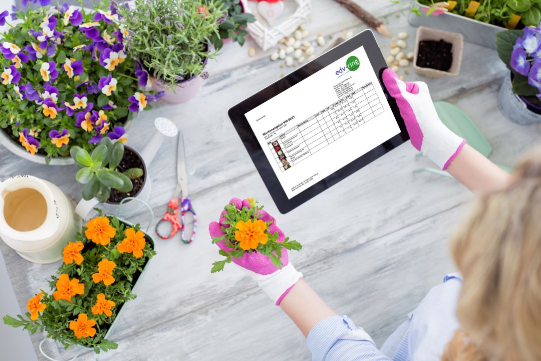 Gardener using tablet to learn new techniques