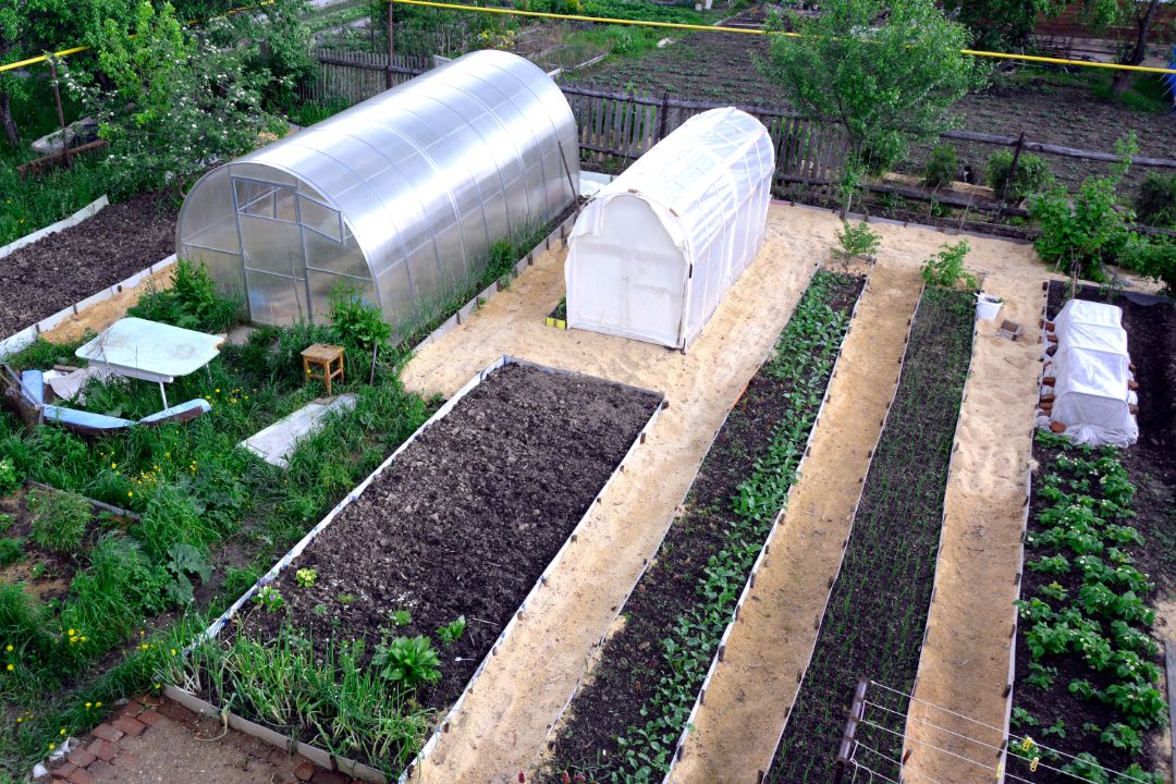 The location of the ridges on the site. View from above. Vegetable beds and greenhouses in the vegetable garden in spring. Long, even ridges are parallel to each other. Garden landscape.