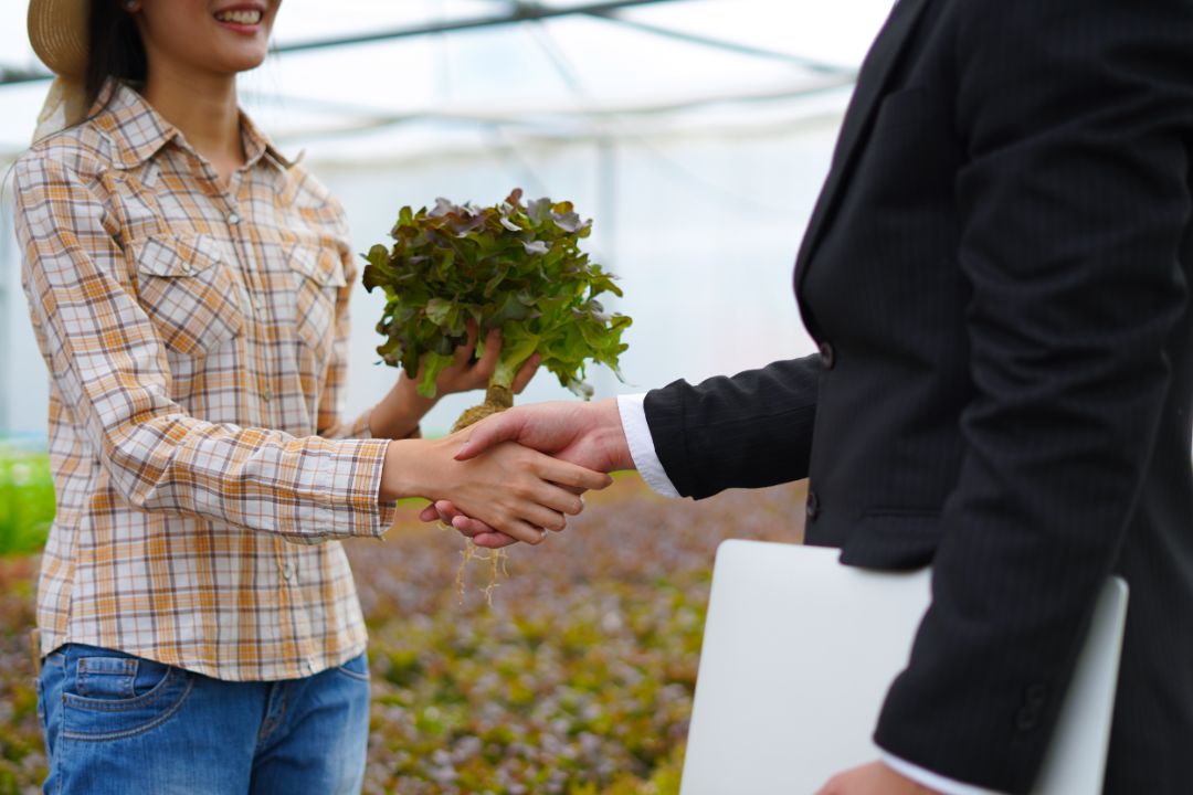 Agribusiness and farm concept, Farmer and businessman shaking hand and deal business to be supply chain with hydroponic farm background.