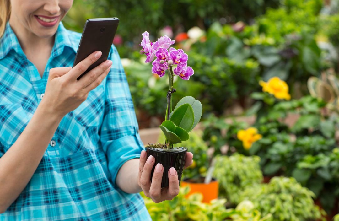 Staying in touch with friends. Cropped shot of a happy female customer taking a photo of a flower with her phone while shopping in a garden center