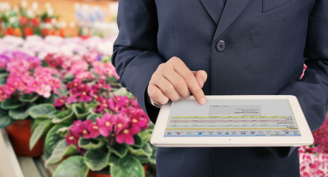 Male hands with tablet on flower shop background. Wholesale and logistics concept