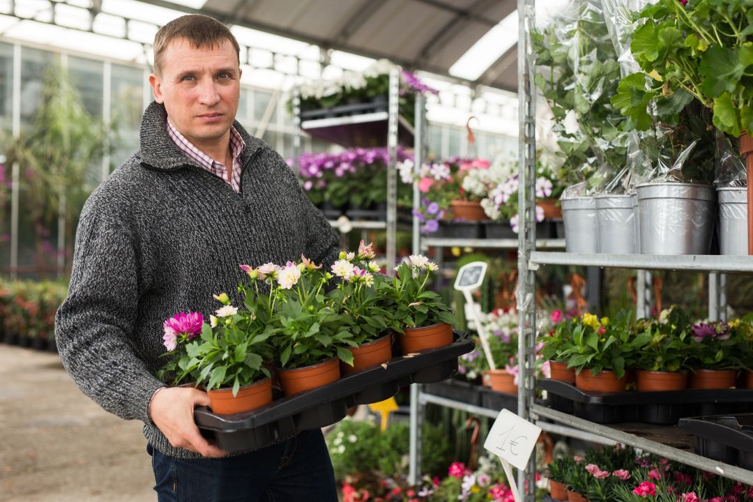 Male customer chooses houseplants in flower shop. High quality photo