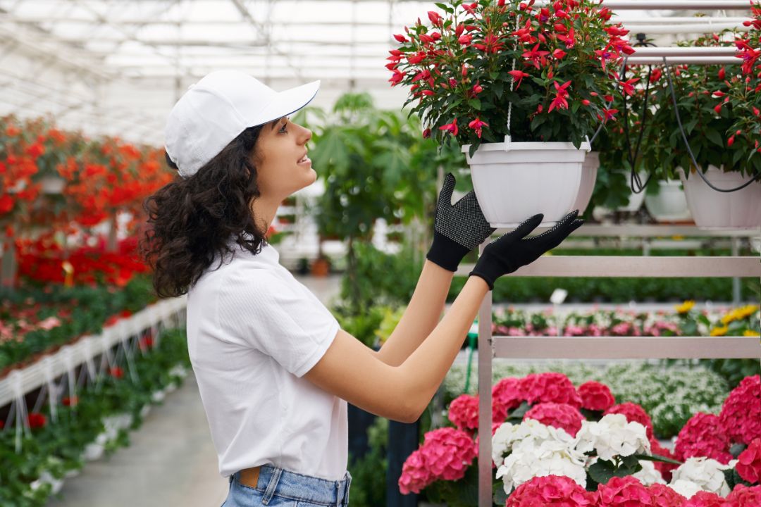 Side view of smiling young woman with curly hair in white cap and black rubber gloves producing flowers in greenhouse. Concept of professional care for pot with red flowers.