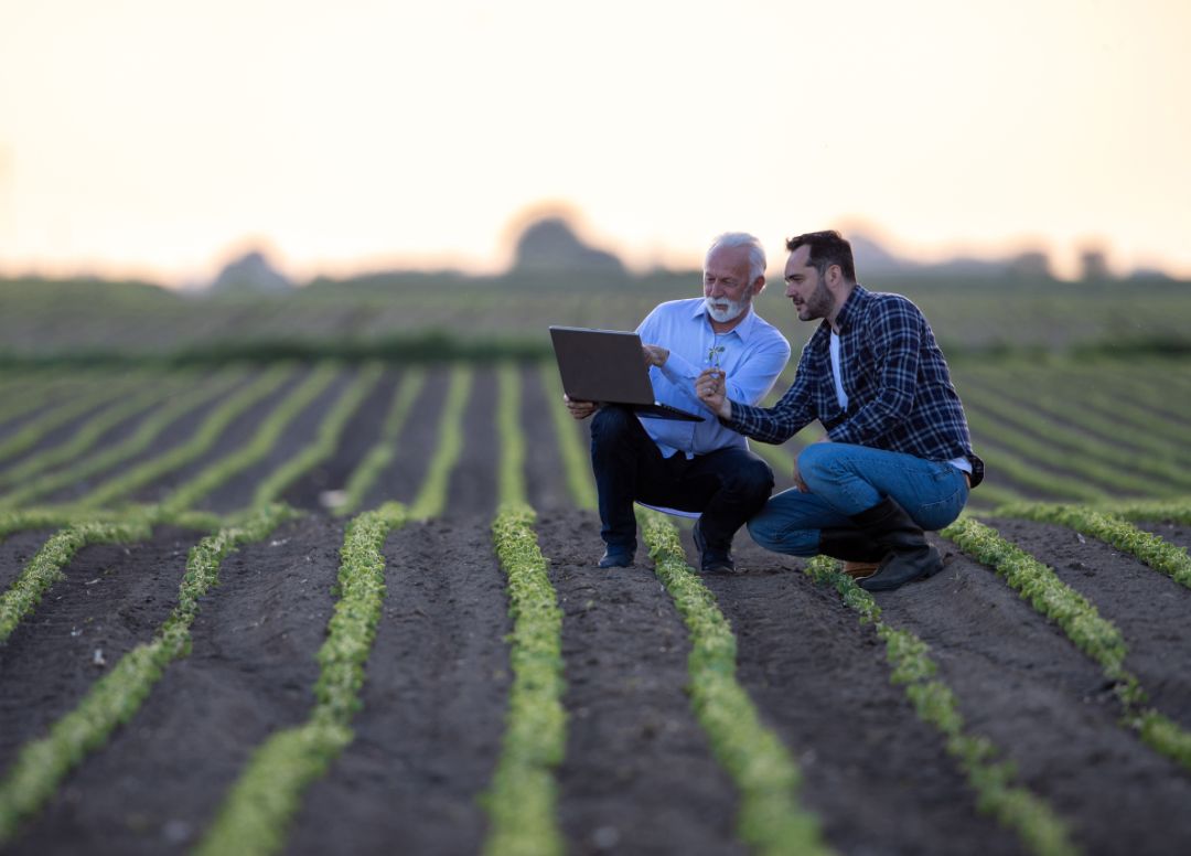 Two men crouching in soy field using computer. Farmer and businessman looking at sprout, pointing explaining using modern technology computer in agriculture.